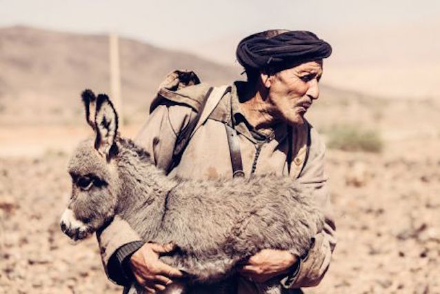 Έκθεση Φωτογραφίας «Στο διάβα» Ανακαλύπτοντας τη μεταβατική και νομαδική κτηνοτροφία στη Μεσόγειο