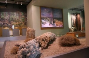 Απολιθωμένο_Δάσος_Λέσβου-300x198